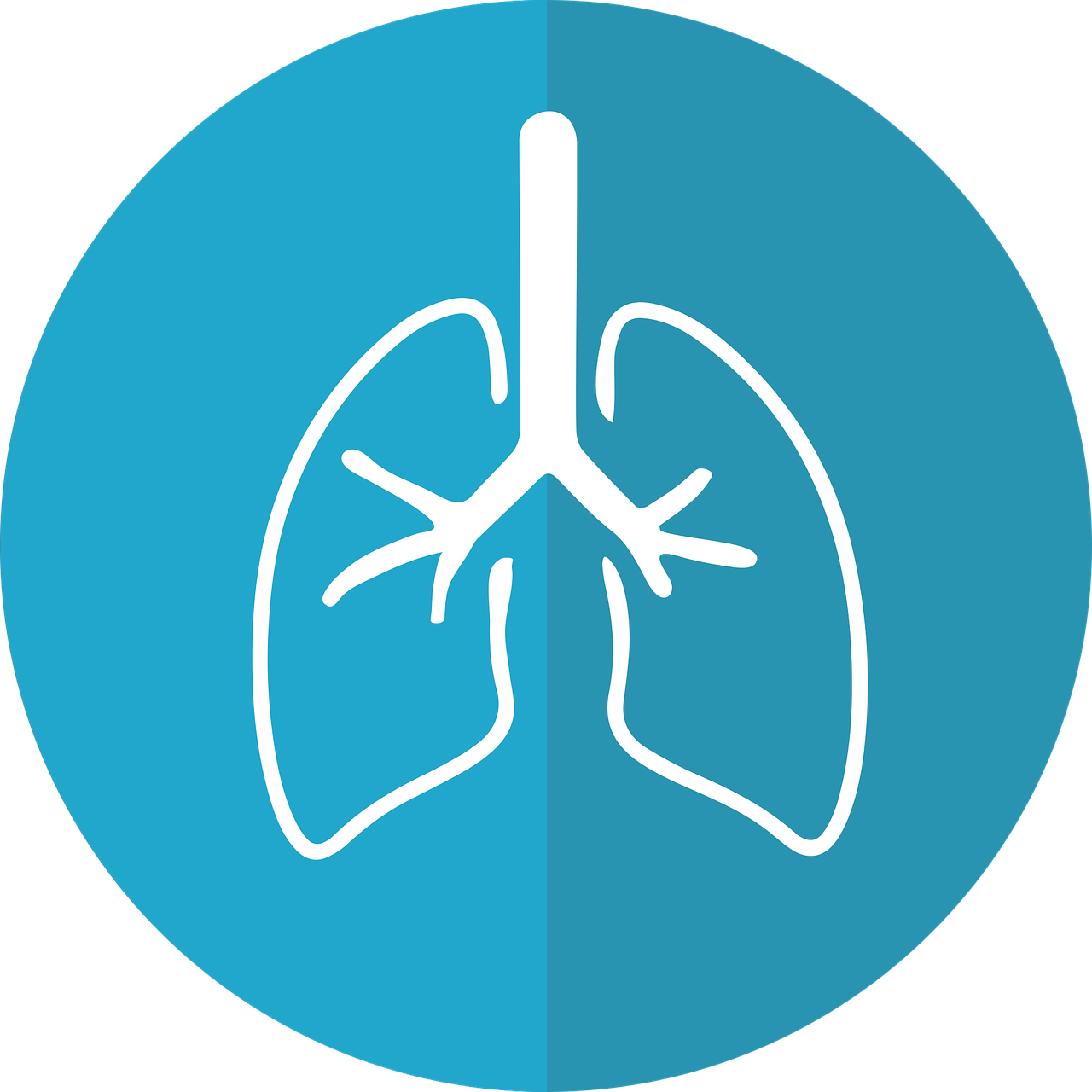 lungs, lung icon, respiration-2803208.jpg